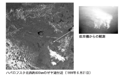 A forest fire observed near Lake Zeya, approximately 800 kilometers northwest of Khabarovsk (21 June 1999) / View from an airplane