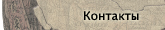 Контакты