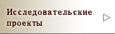 Исследовательские проекты