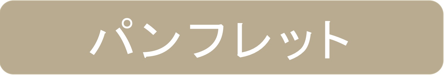 パンフレット