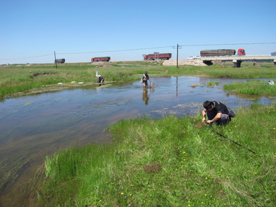 内モンゴルでの湿地生態系調査