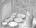 人類学 画像3
