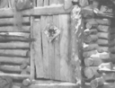 人類学 画像5