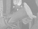 人類学 画像1