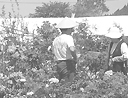 人類学 画像1