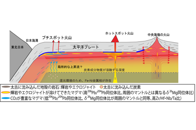 hirano_research