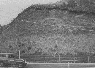 Fig. 2. Wakasa outcrop B/W photo.