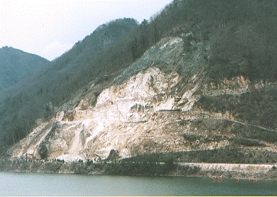 Fig. 3. Niimi outcrop photo