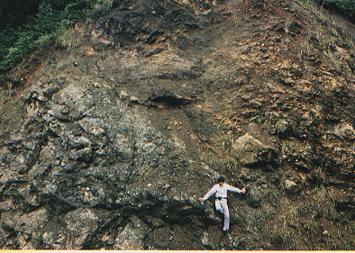 Fig. 5. Oya outcrop photo