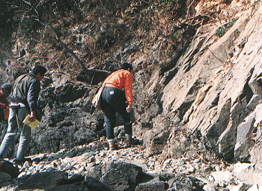 Fig. 8. Obama outcrop photo
